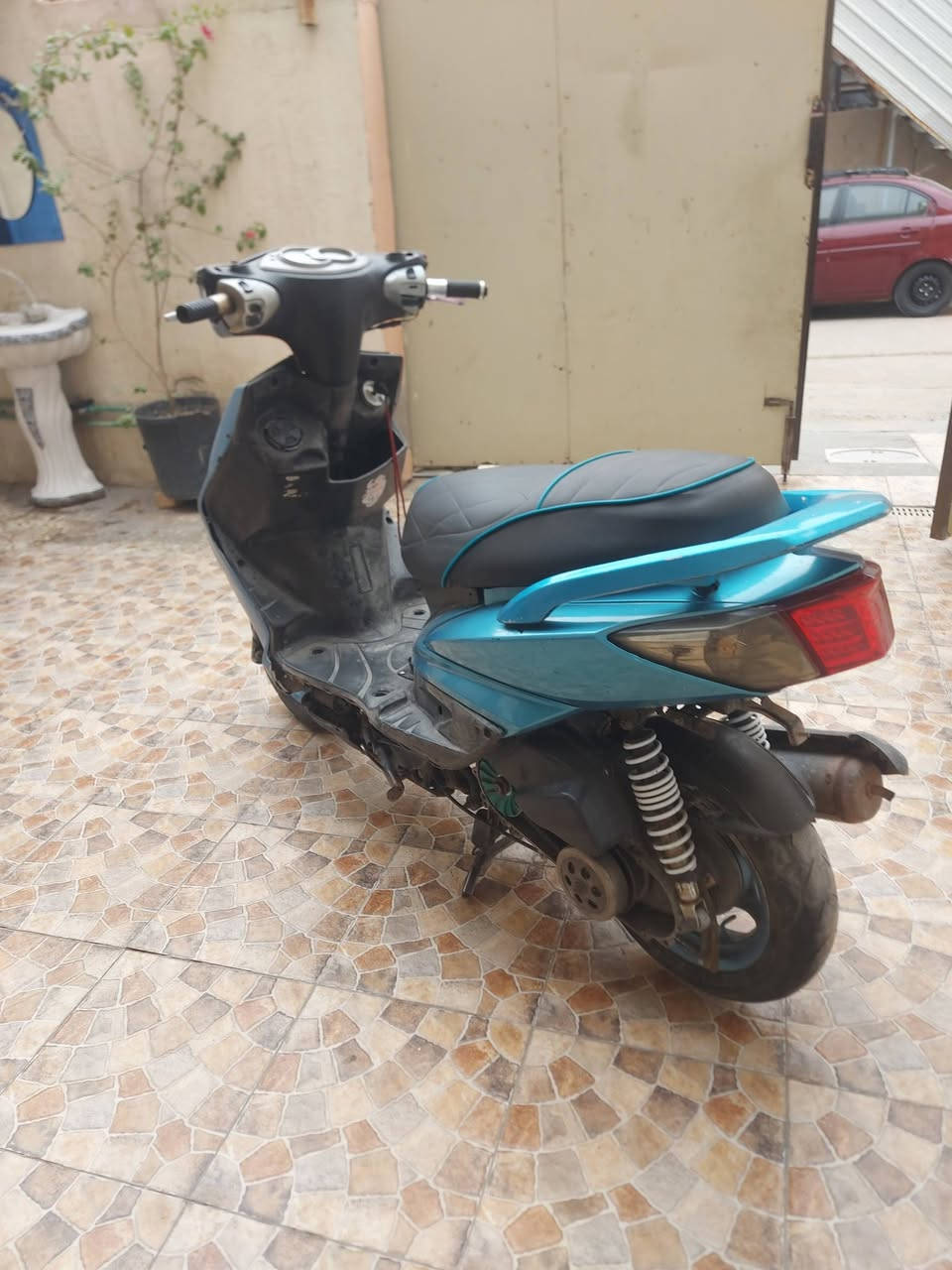 سكنس • فحل • بوشه ٥٨