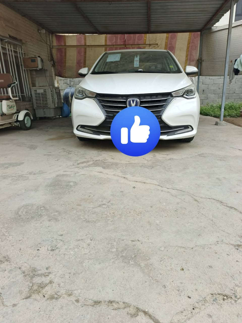 شنجان Lسفن • ٢٠٢٢ • كفالة عامة
