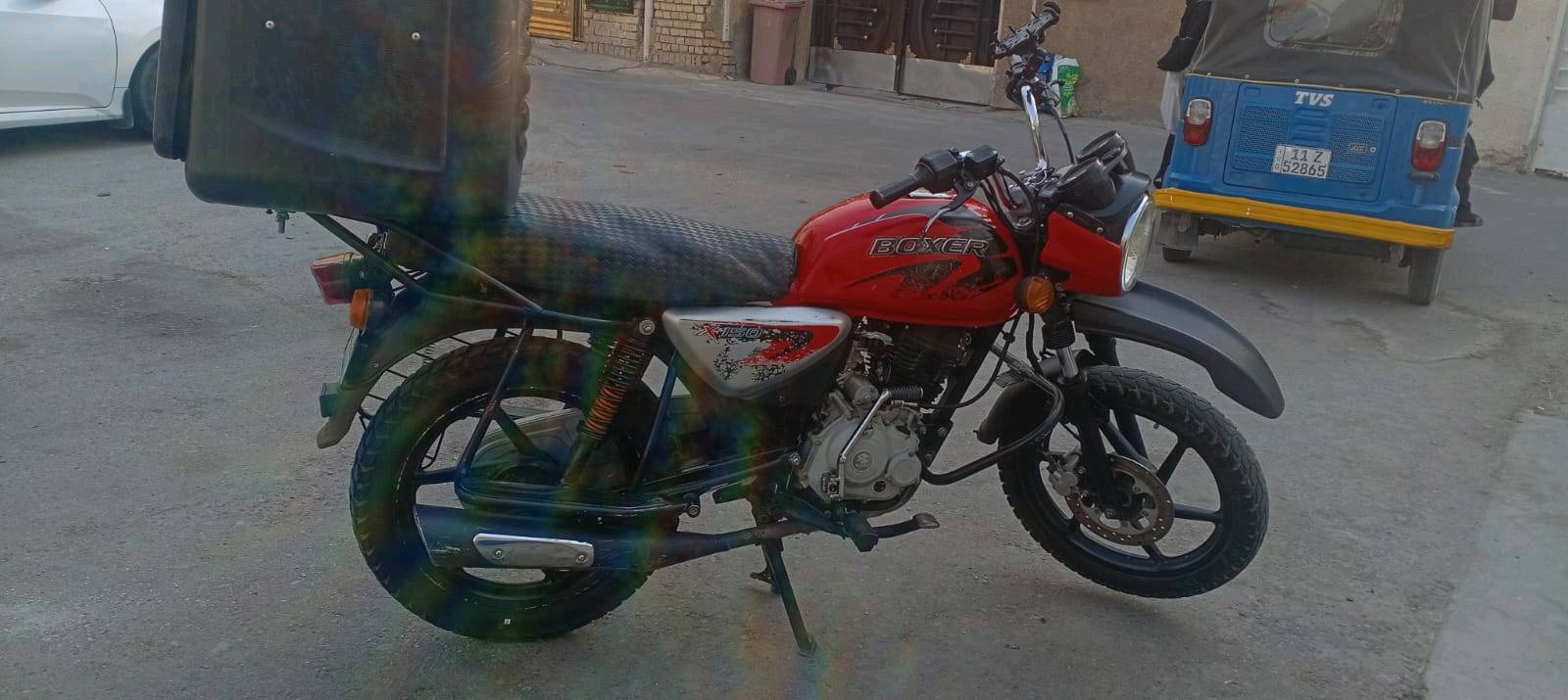 بوكسر جبلي • ٢٠٢٠ • مجفته