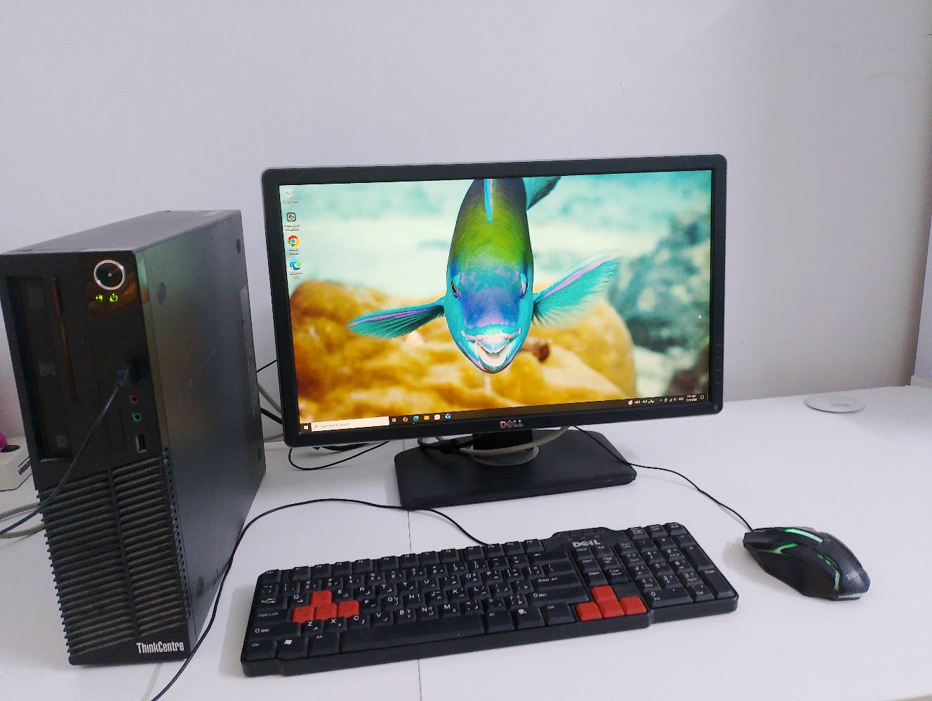 حاسبه للبيع مستخدمه لينوفو

مواصفات

cpu: i5-4590S 

Gpu: Geforce gt730  

Ram:  8.00 g
 64 بت 

وندوز 10 برو 

شاشه ديل 60 هرتز

كل هذا ب200 الف