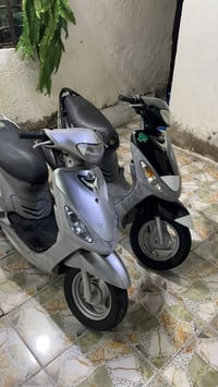 ماكس منغولي • للبيع • واتساب