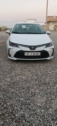 كورلا خليجي • ٢٠٢٣ • رقم اربيل