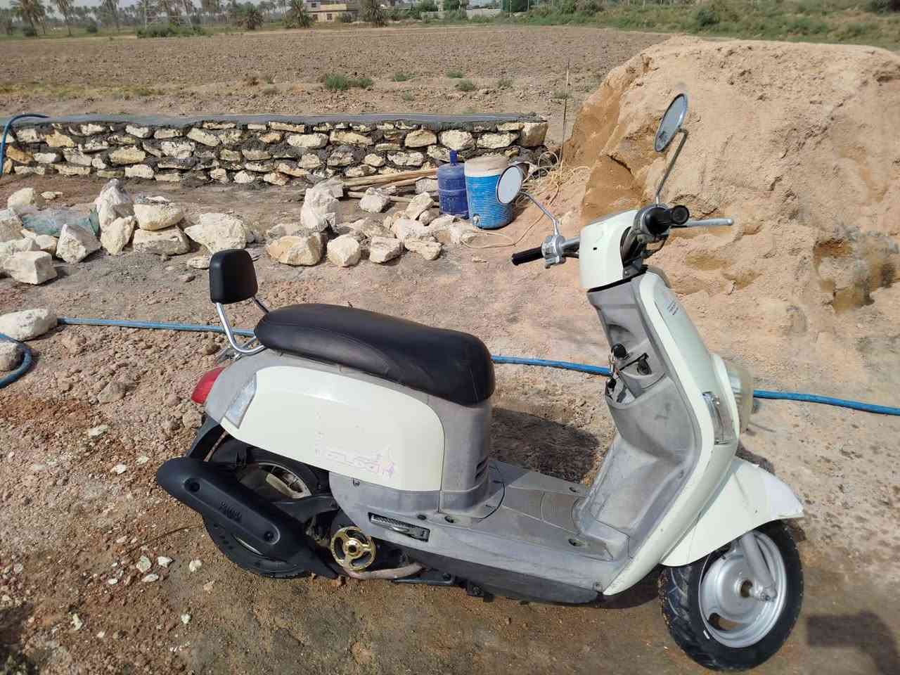 بوليس • ٢٠٠٨ • نجف