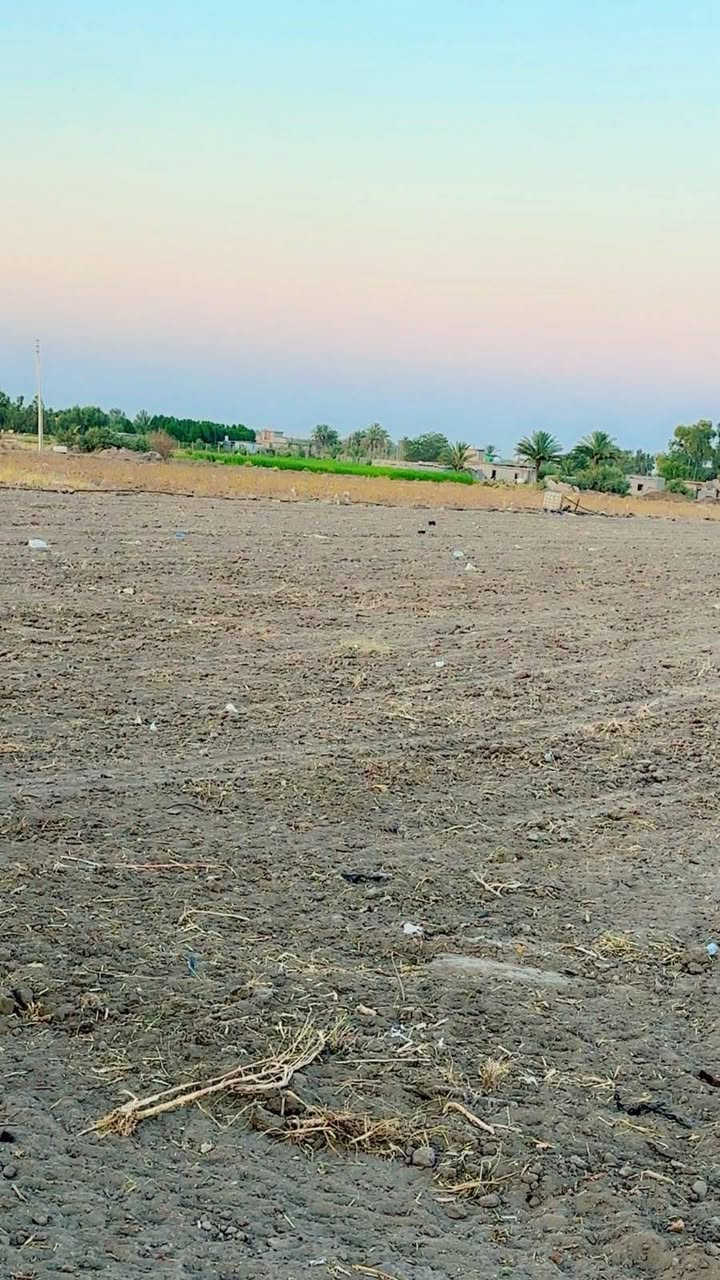 السلام عليكم ارض زراعية سند25 للبيع مساحتها ثلاث دوانم ونصف والأرض بدايتها تبليط يتوفر فيها ككل الخدمات من ماء وكهرباء وقريبة جدا على مدرستين ابتدائية ومتوسطة وعدادية وسعر خاص عله الارقام موجوده  وقابل للتفاوض والمكان بغداد سبع البور منطقة المصالحة والطجاج والاستفسار الاتصال على الارقام أو مراسلتنا على هذه الصفحة ‏‪***********‬‏........ ‏‪***********‬‏ بيهن وتساب
