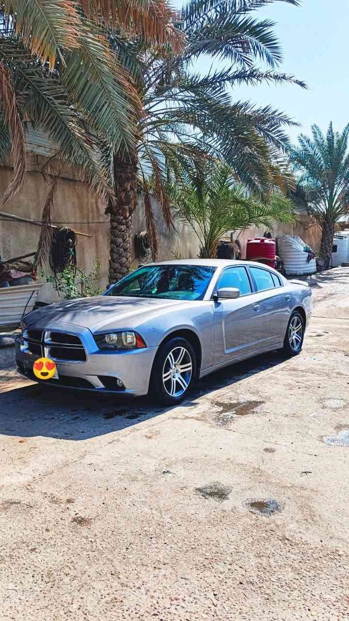 موديل 11 • كنديه • رقم بصره