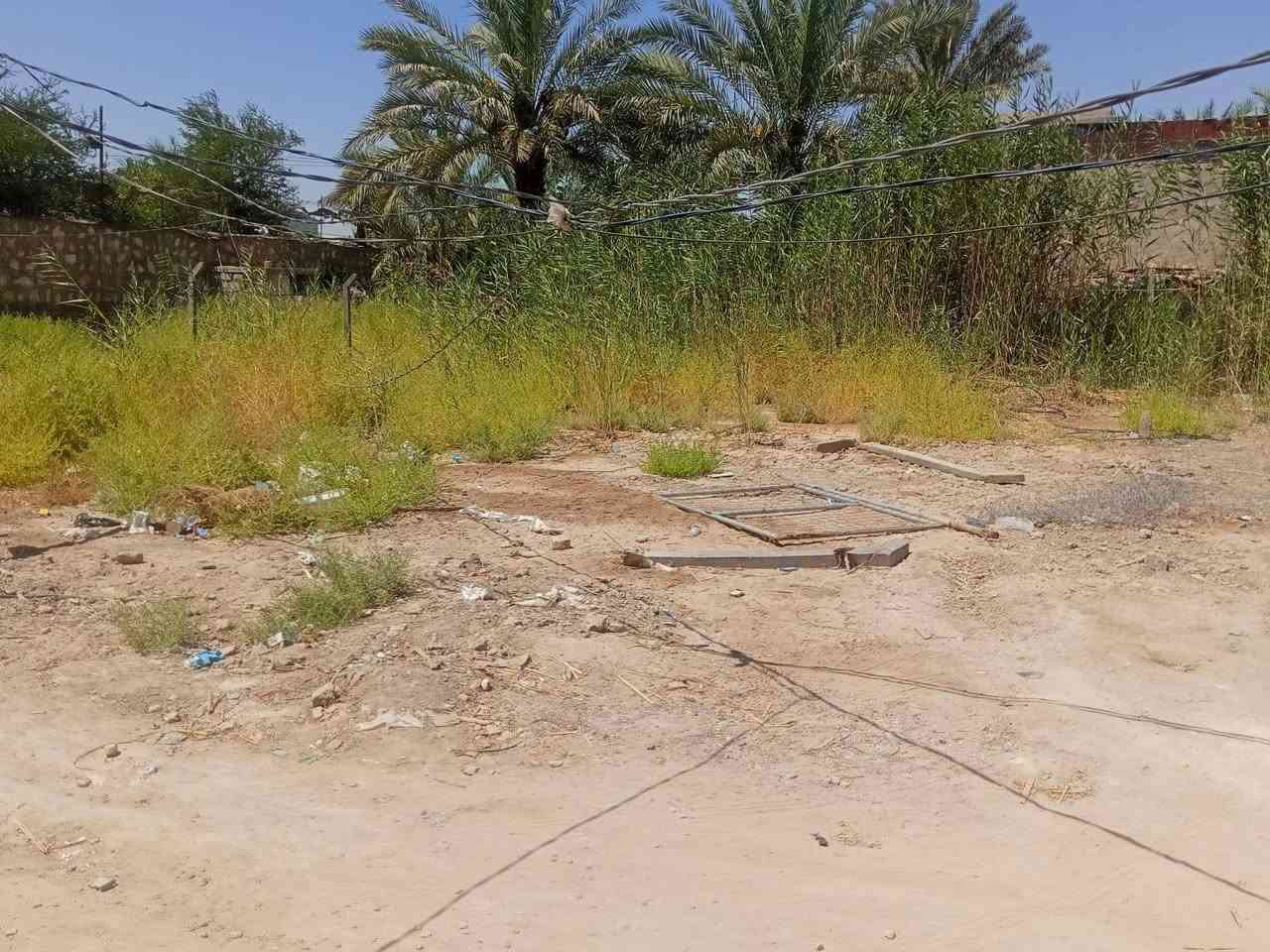 ٢٠٠ سند ٢٥ م طابو زراعي تحويل السعر ١٢ ماليون ترهم نقد وفقد قرب مخازن القمة قرب الجزائر عن المحافظة بابل  ٤كغم والفنون *********** يوجد واتساب
