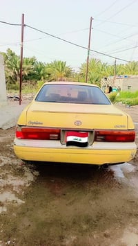 بطه • مكفوله • جاهزه