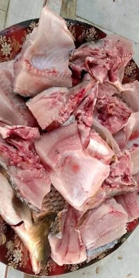 دجاج • حجز واتساب • افخاذ أجنحة صدر