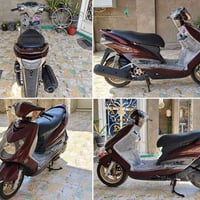 سكنس فحل • ياباني • نفخ