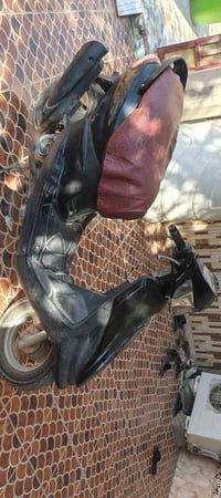 ماكس • قردة • حي الجمعه