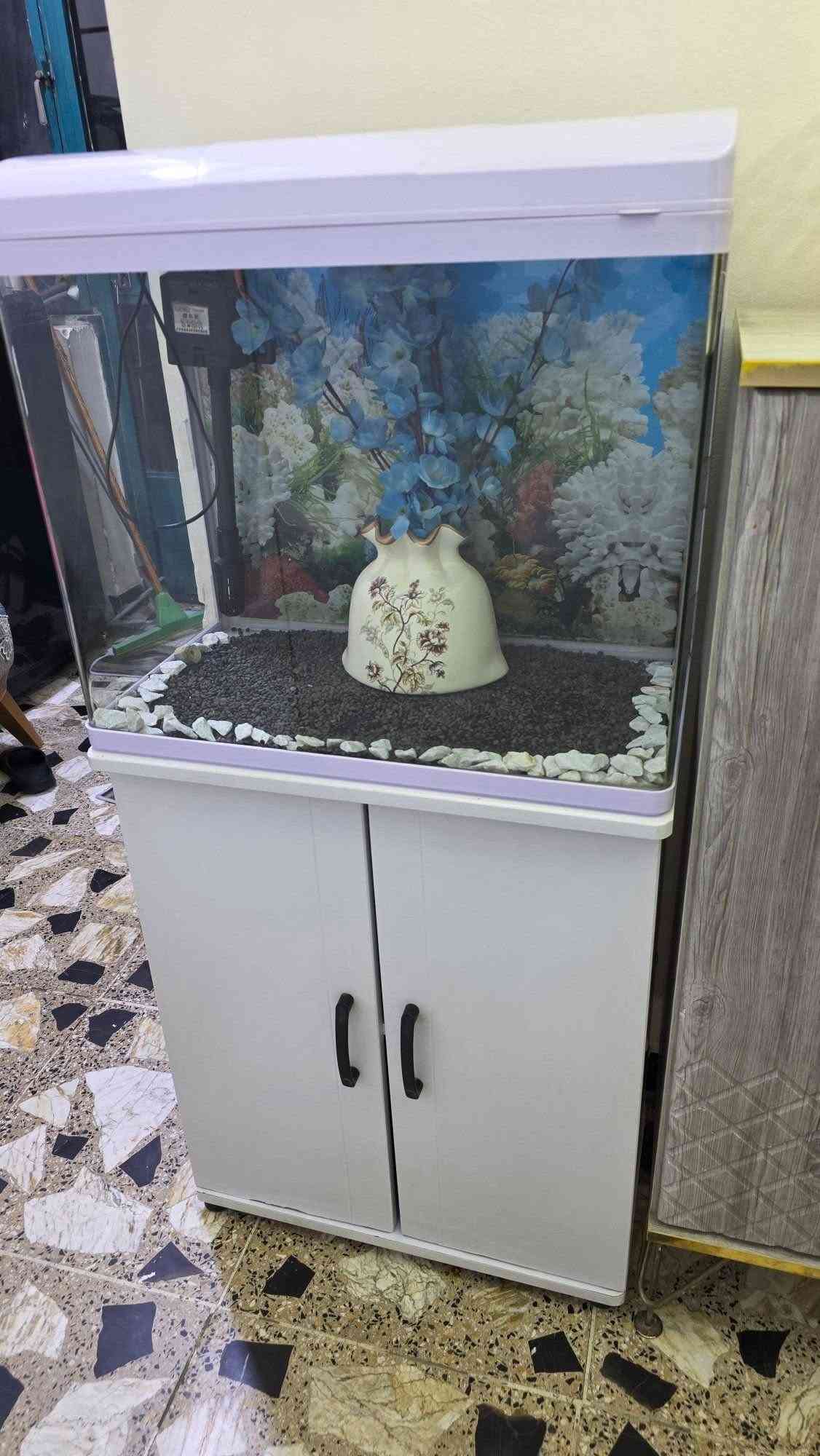 لا توجد تفاصيل
