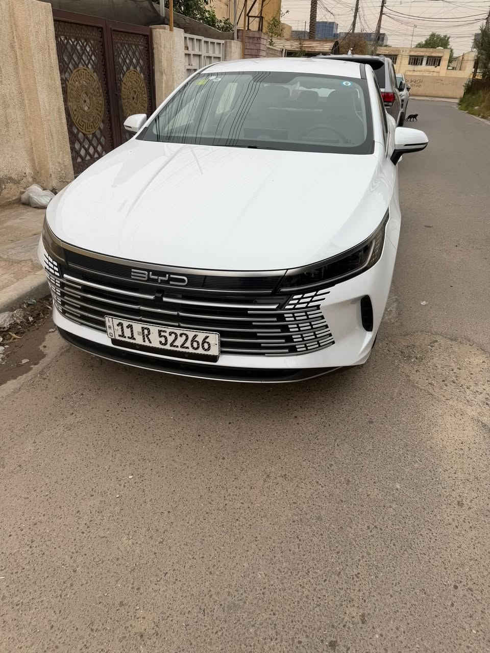 ٢٠٢٥ • ماشيه ١٠٠٠٠ • مكفولة