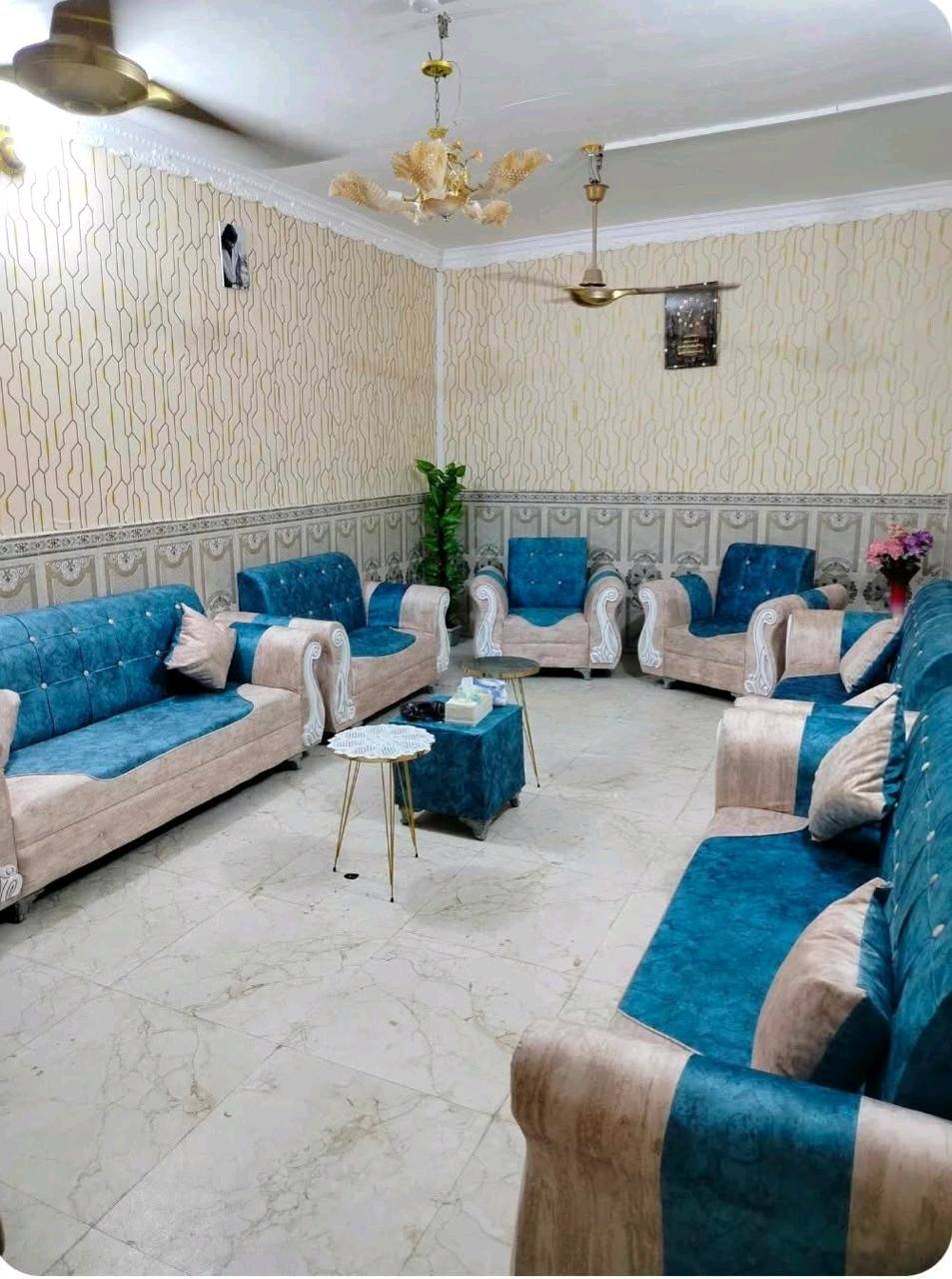 تخم بطه • ٤ كوشات • توصيل بغداد مجاني