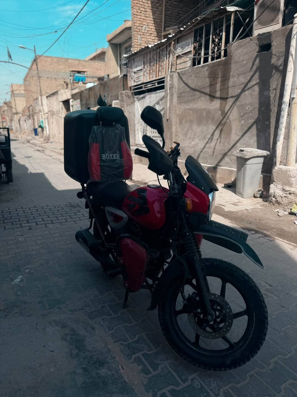 بوكسر • مكفوله • لوحة وسنوية