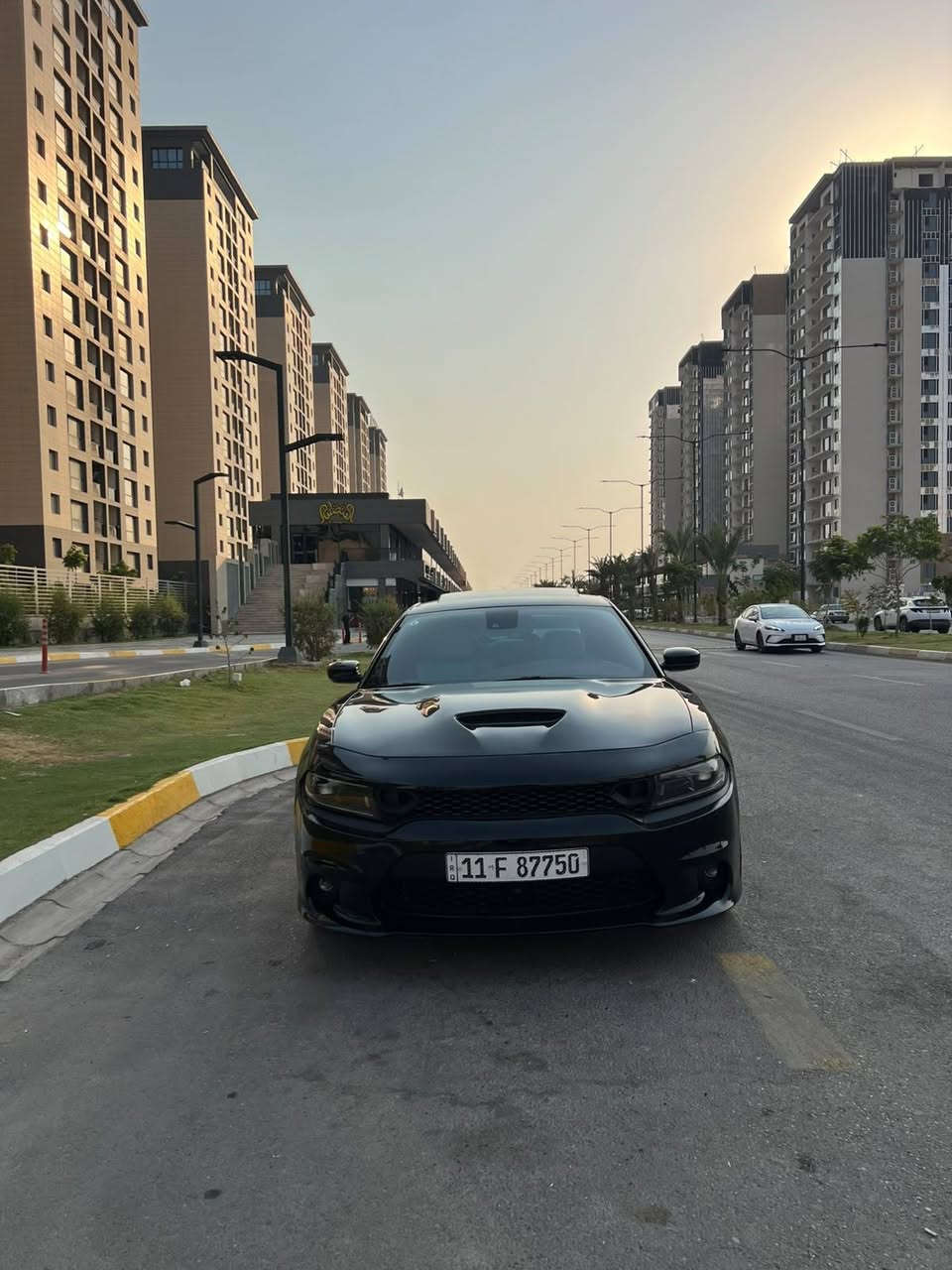 السلام عليكم 🌹

🚘 دوج تشارجر 2023 Last Call RT 5.7 Blacktop

🔹 5700 HEMI V8
🔹 فتحة
🔹 رادار أمامي
🔹 توقف ذاتي
🔹 جلد
🔹 شاشة كبيرة + Apple CarPlay
🔹 حساسات + كاميرا خلفية
🔹 Blacktop، مواصفاتها معروفة

📍 رقم بغداد
السيارة باسمي، تحويل ثاني يوم.

🇮🇶 السيارة داخلة العراق شهر 11 / 2025
📊 دخلت ماشية 25 ألف ميل، وحاليًا ماشية 31 ألف ميل
السيارة مرقمة ومشت على إيدي لحد هذا اليوم.

🛠️ الحادث: فقط بنيد صبغ

💰 السعر: 275$ وبيها مجال بسيط
للاستفسار ع الرقم *********** بغداد, العراق
