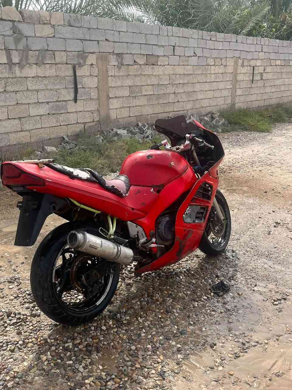 بطحه • قرش • متروكه