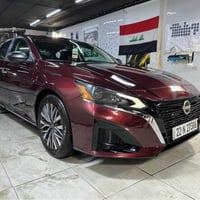 التيما • ٢٠٢٥ • رقم اربيل