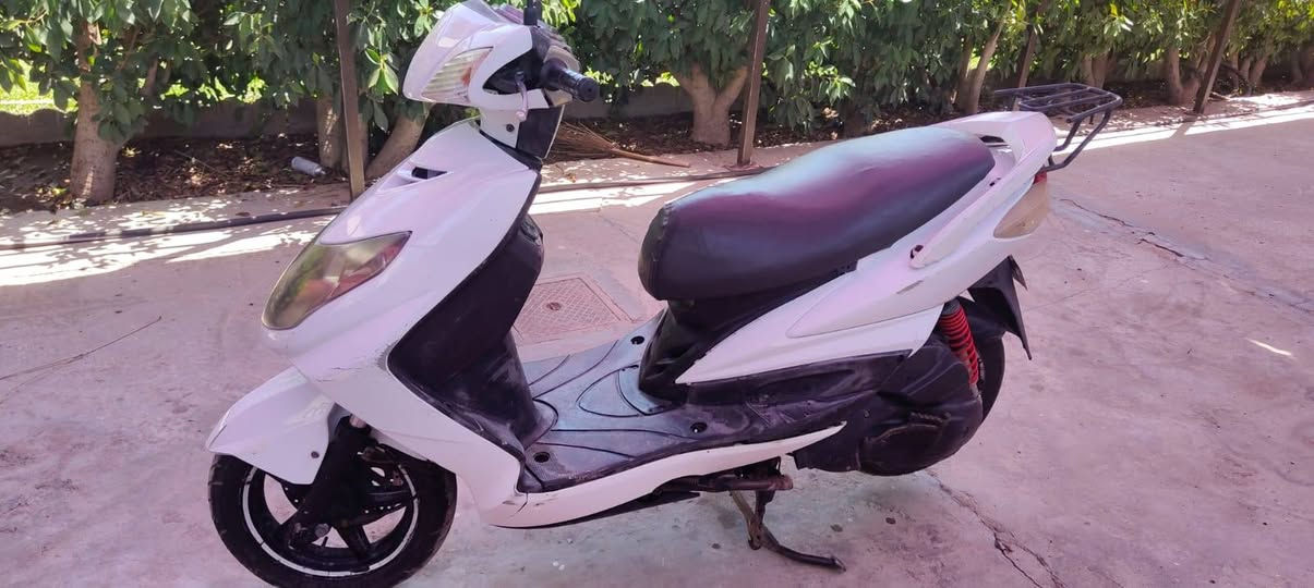 السلام عليكم سكنس فحل البيع شباب الدراجه
نضيفه تخبل معدل شلعه حلوه السعر550وبيه مجال العنوان الكريعات قرب جامع ابي تراب الاستفسار الرقم***********1
