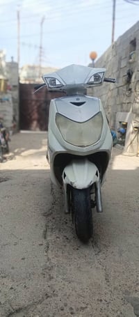 سكنس فحل • معدل • دشبول