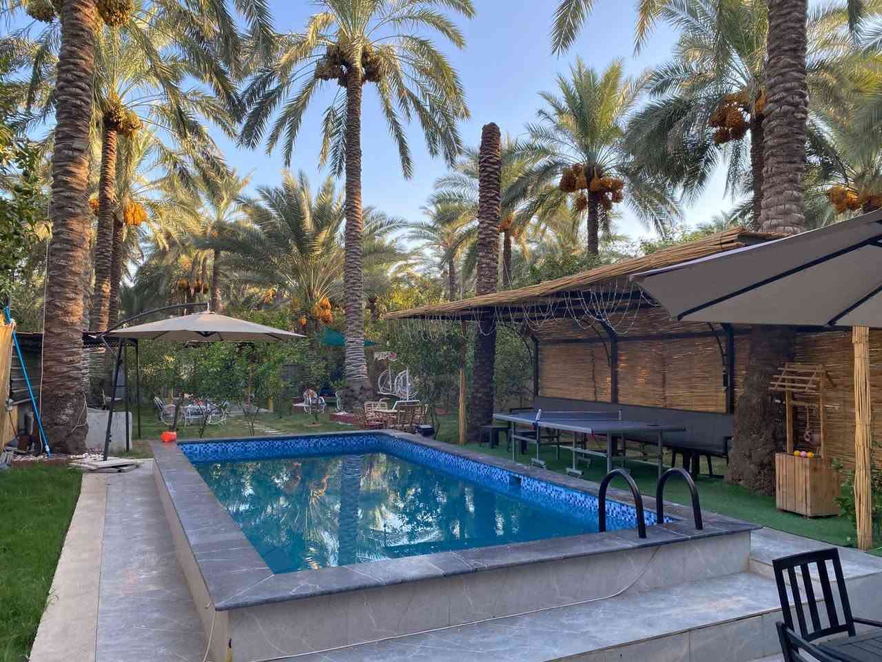 🌴✨ أهلاً وسهلاً بكم في مزرعة النخلة ✨🌴
📢 الحجز متوفر

📅 الخميس والجمعة والسبت: 250 ألف
🌙 الأيام العادية – مسائي: 200 ألف
☀️ الأيام العادية – صباحي 150ألف

نورتونا وشرفتونا 🤍
مكانكم للراحة والوناسة، ونتمنى لكم أوقات جميلة وممتعة بين أجواء مزرعة النخلة 🌿🏡

📲 للحجز والاستفسار: تواصلوا معنا
***********
مزرعة النخلة — ننتظركم بكل حب 🌴🤍
📍 عنوان مزرعة النخلة 🌴

بغداد – منطقة الراشدية – المراسمة

📌 نورتونا وتشرفونا، وأهلاً وسهلاً بكم 

في مزرعة النخلة 🤍🌴
🌴 نرجو من زبائننا الكرام المحافظة على نظافة المكان 🌴

نظافة المكان مسؤوليتنا جميعاً 🤍
يرجى المحافظة على نظافة المزرعة وعدم رمي النفايات، وترك المكان كما تحبون أن تجدوه.

شاكرين تعاونكم وذوقكم 🌹
