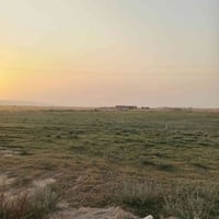 ثيل هندي • درجة أولى • ناحية الزاب