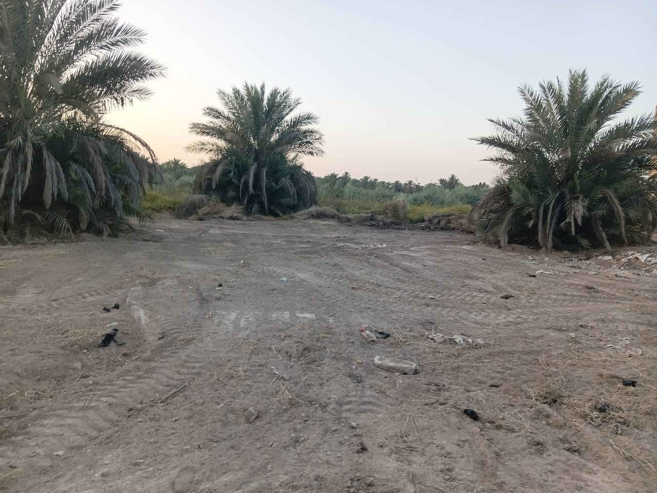 حي الاخاء • ١٠٠م • طابو صرف