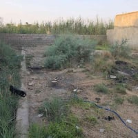 بتلو ابستان • شارع الماي الارو • ٢٠٠م