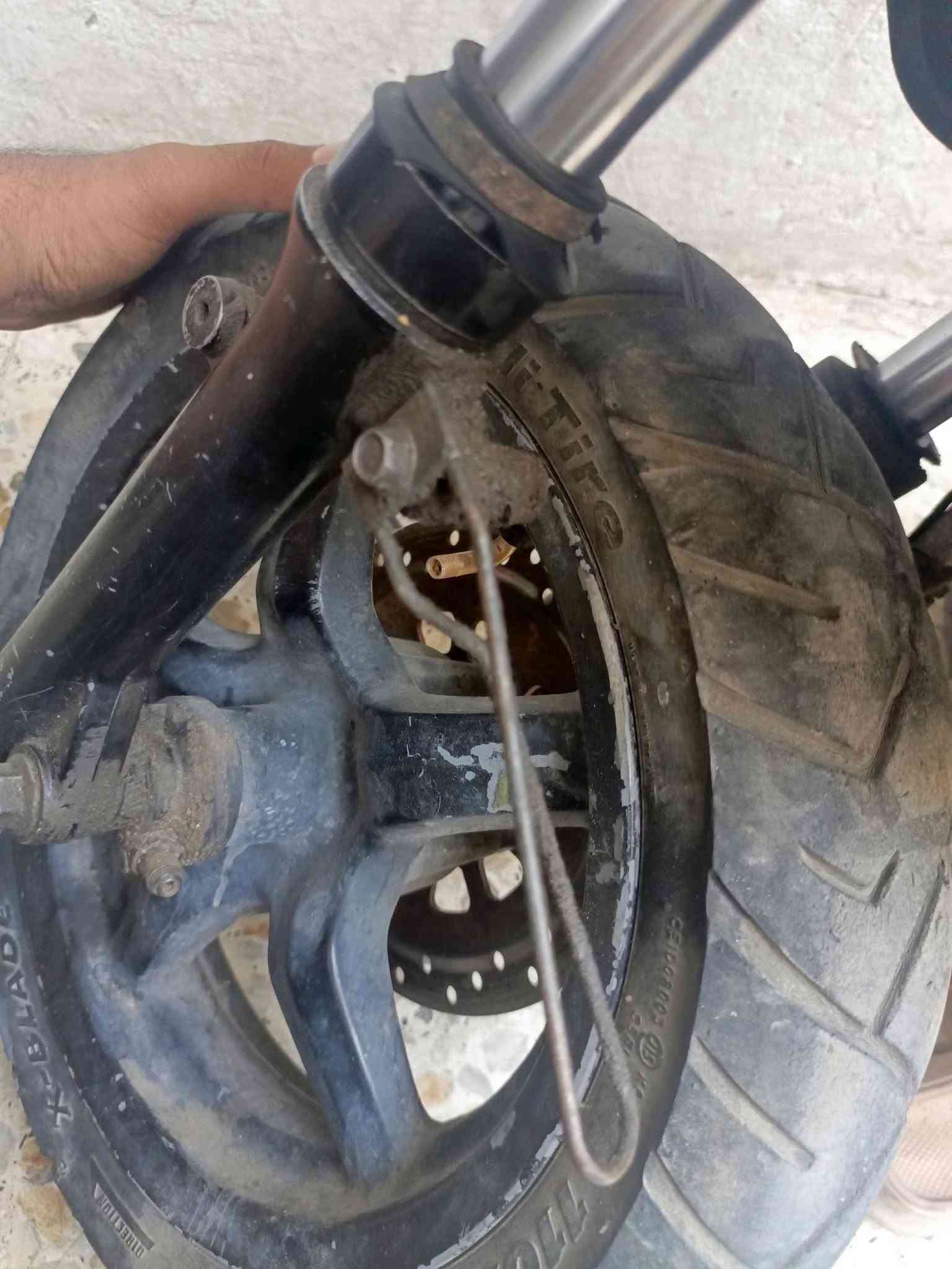 سلام عليكم مو جوه سوك جوة قندرة هههههههههههه
اكسل ب 25 تعال افتح 

كور نضيف من كلشي ب 30 

صدر مال نثيه نضيف ب 15
 
ستين و ماكشه و شاصي مال نثيه ب 25 

ضفيرة اله تبجي مفولهههههههه ويها كويل و عقل و جوزة ب 40 كلشششششش نضيفه 
 
💥 بغداد مدينة صدر كيارة عندي توصيل جميع محافظا 💥

ويل امامي و بي تاير نضيف 90% ب 40 جاي نباع بس تاير ب 30 والله 

بس ويل خلفي ب 25 

سواد مال نثيه نضيف يخبل ب 20  بطن و كاعيه و ماكان الباتري هم 

عندي عقل ثنين مال نثيه الواحد على 20 على شغل هم 
0774956915
