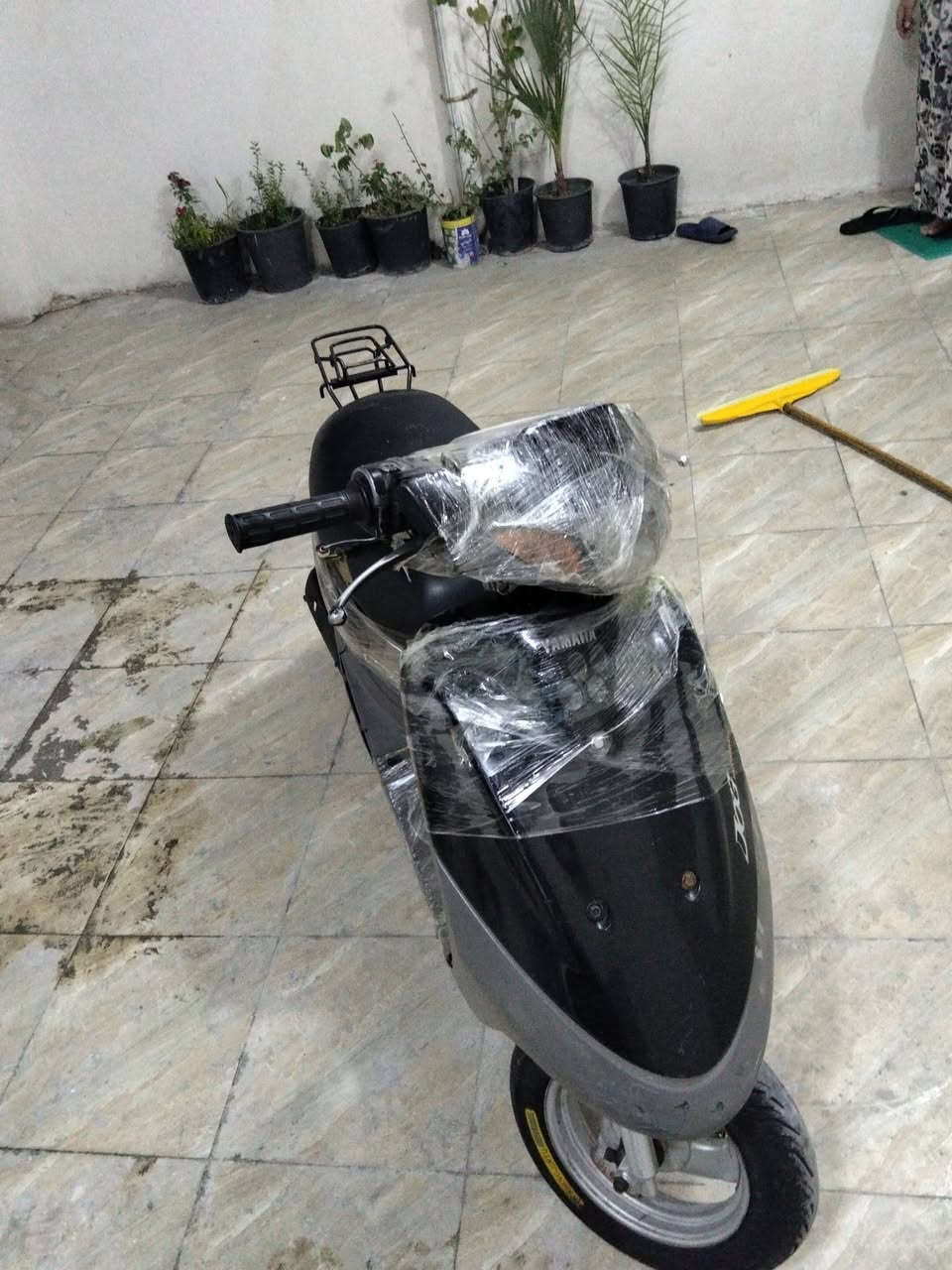 قرده • ٦٠ • مجال