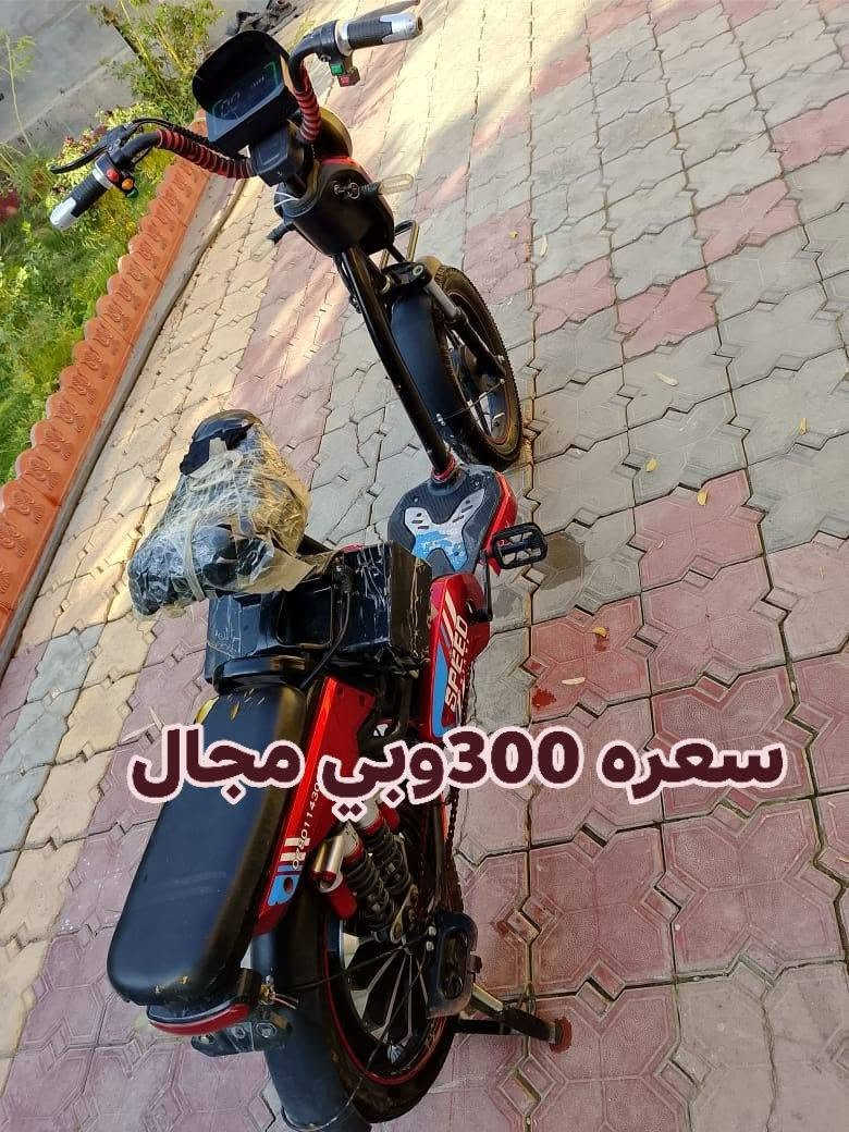 باسكلات شحن  البيع كاملات وكلشي ما بيهن بطاريات جدد بعدهن باسكلات شحن  البيع كاملات وكلشي ما بيهن بطاريات جدد بعدهن.                                                            900H(سعره (375 وبي مجال 
مكان كربلاء الحر منطقة الجماليه 
والثاني سعره 300وبي مجال 
رقم ***********

نص مكتوب في الصور:
- سعره 300 وبي مجال
- سعره 375 وبي مجال