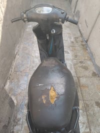 قجمة • نظيفه • زعفرانيه