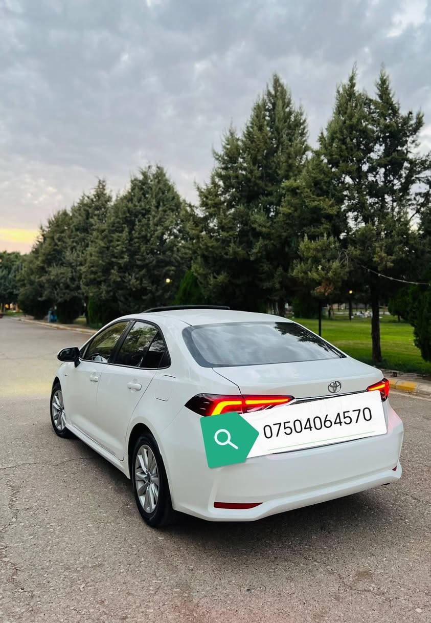 كورولا • ٢٠٢٥ • بدون بوية