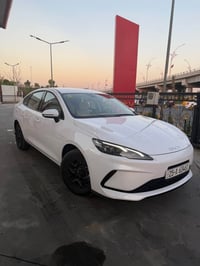 سيل 5 • ٢٠٢٥ • رقم كركوك