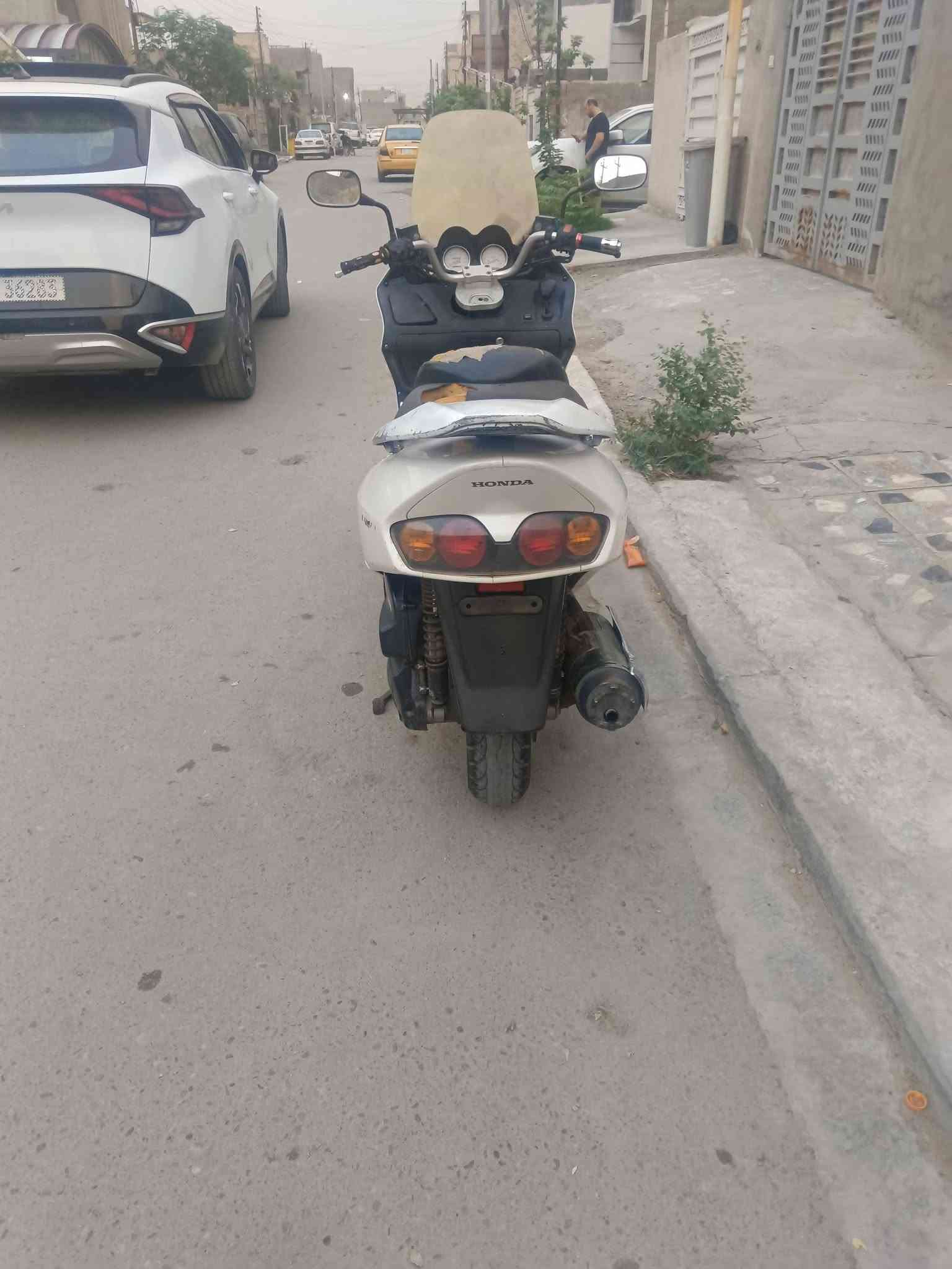 فورزه 06 • فحل • معدل يخبل