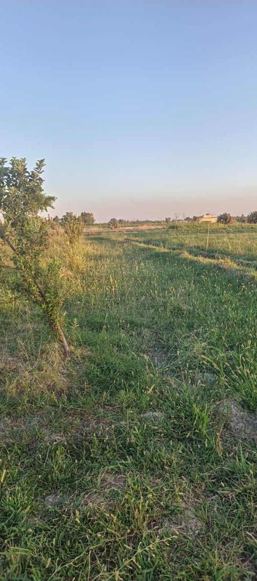دونمين ونص بصف سبع البور مقابل المجمع السكني طابو الكاظميه تصلح مزارع بيها كافة الخدمات تبليط ماء سقي متوفر ماء اساله مدارس وغيرها مسيجه من جهتين  وقريبه عن المدينه والسوق 
***********
