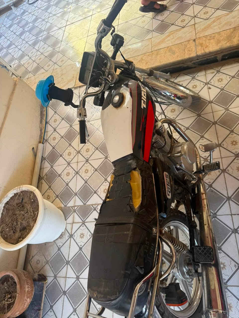 دراجة تايكر موديل ٢٠٢١ اوراق زيتي كارتوني
مكينة مامفتوحة كهربائيات كاملة باتري جديد
سعر ٤٥٠ الف دينار  

للاستفسار ***********
