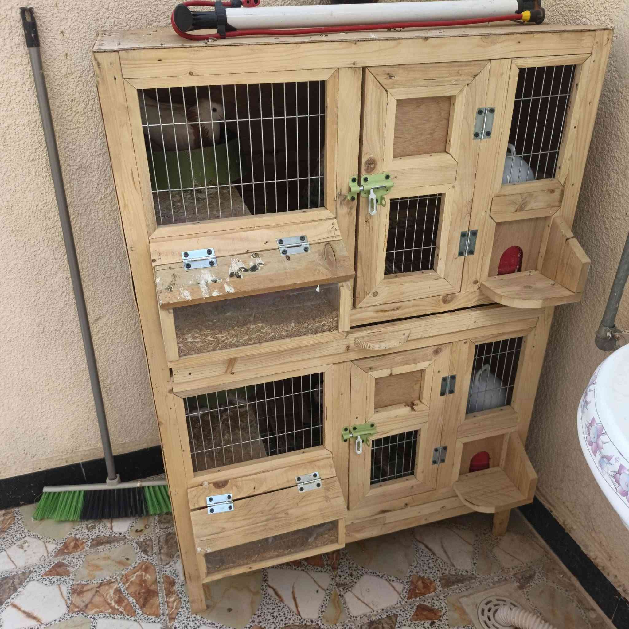 قفوص طيور • طيور حب • توصيل بغداد
