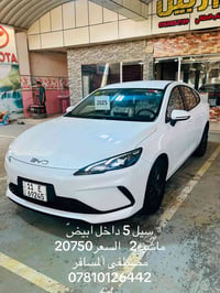 سيل 5 • ٢٠٢٥ • ٢٠٠٠ كم