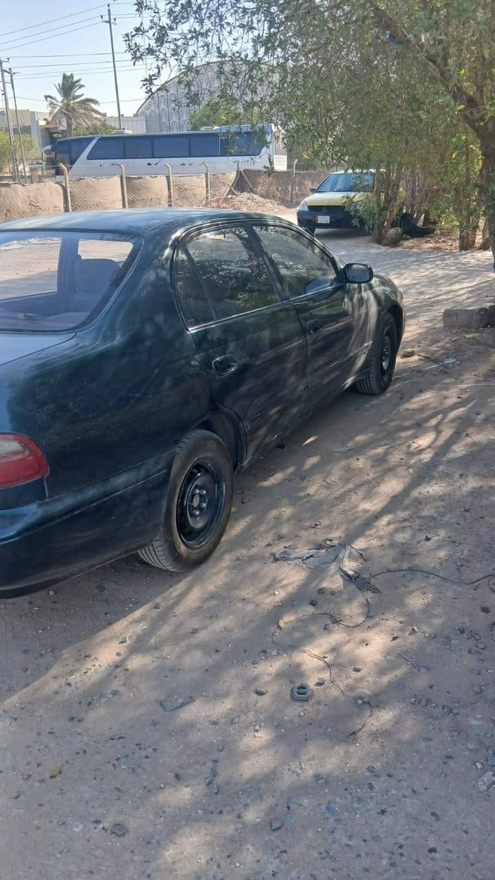 كرونا • ٩٢ • رقم نجف