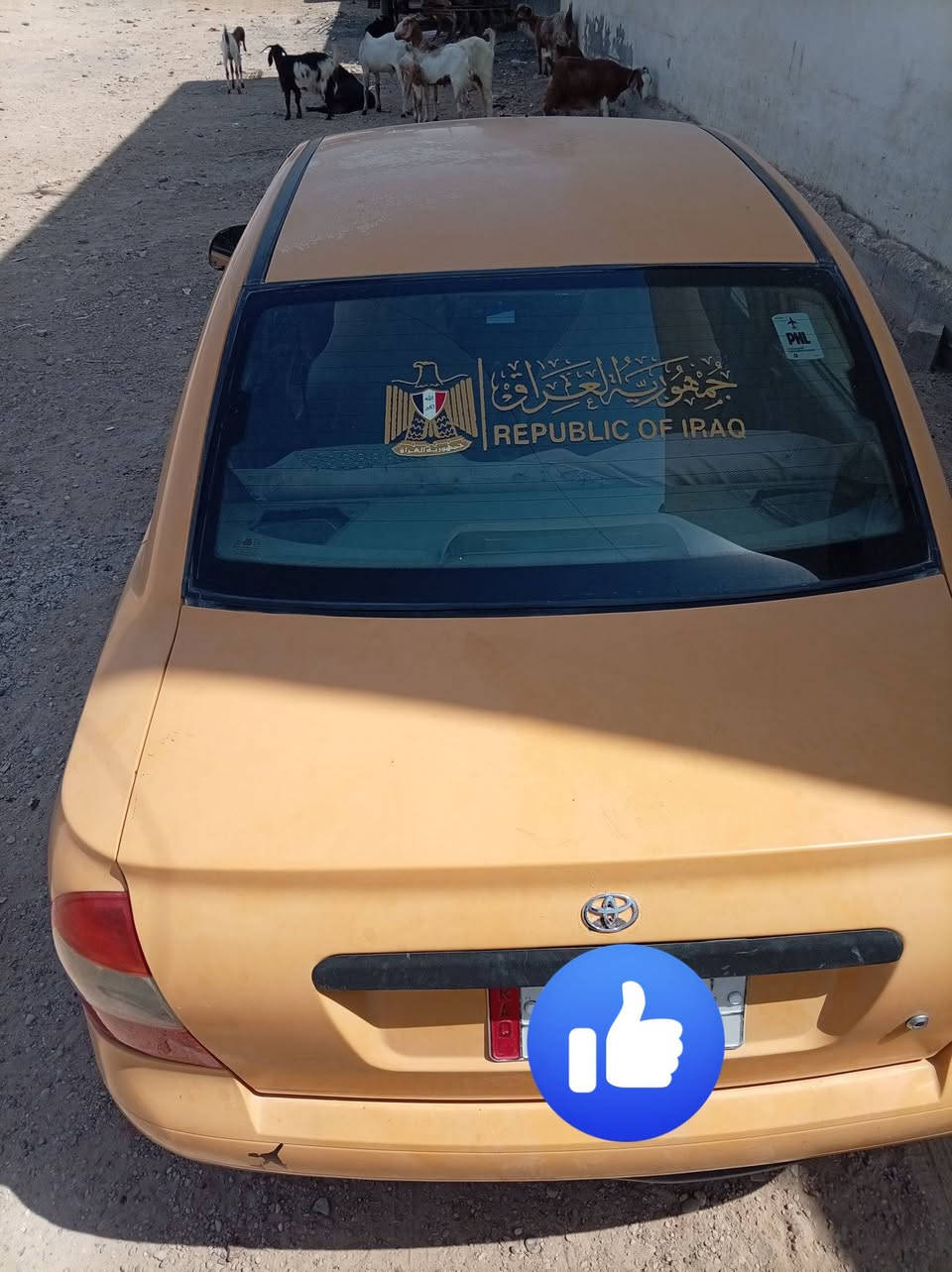 سلام عليكم سيارة طيبة موديل 2016 رقم بغداد سنوية ساقطة من 2021 ابيع بدون تحويل اكفل طلبة وسرقة وعشاىر ابيع واذا اكو مراوس اروس سعرها 25 وبيهة مجال مكاني صلاح الدين الضلوعية وهاذا رقمي ***********
