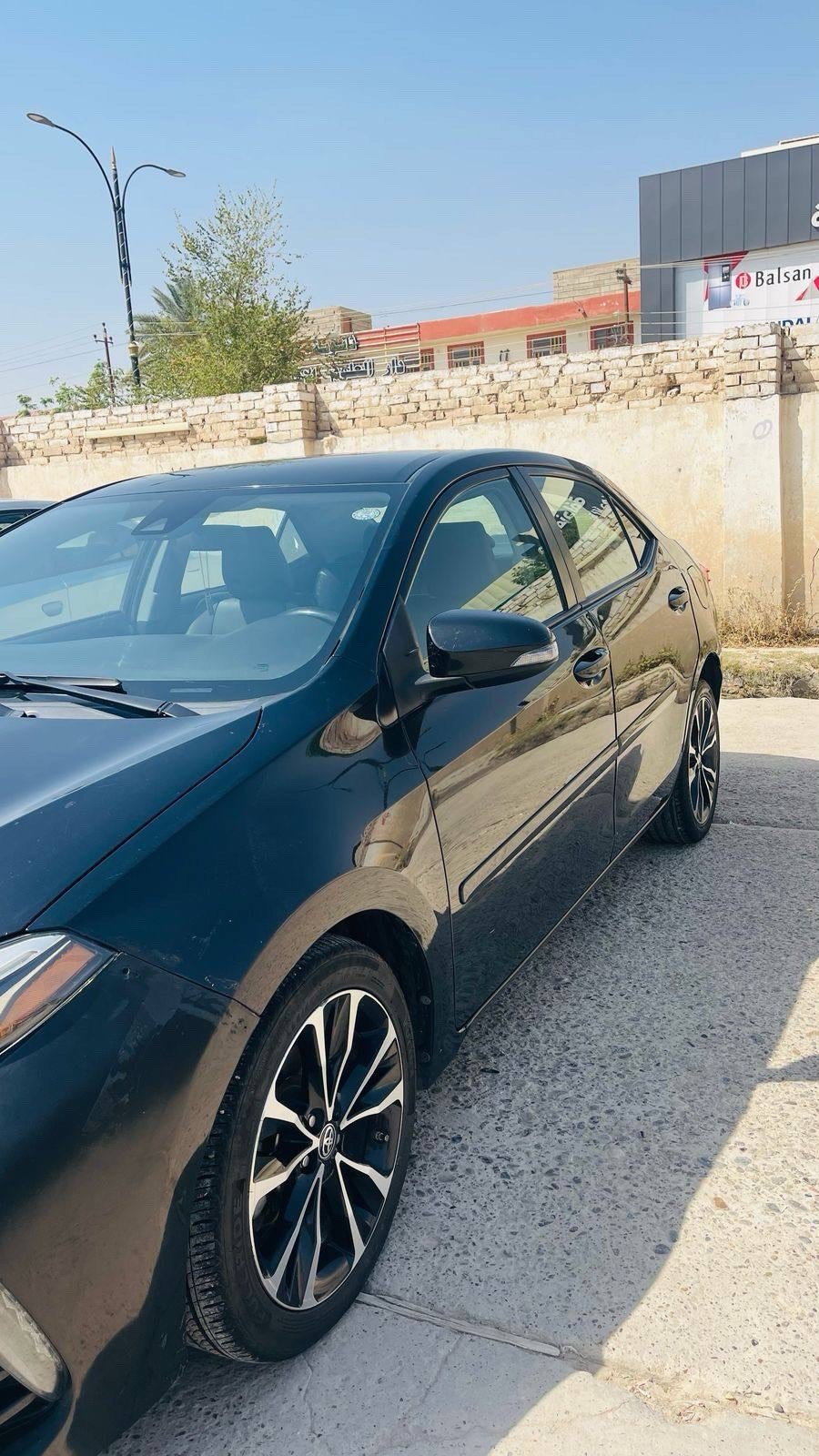 كورلا SE • ٢٠١٨ • وارد كندي