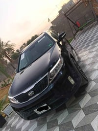 ماندا الرايها • كوت • ٢٠١٤
