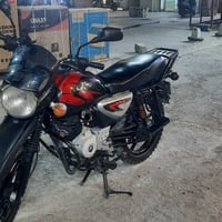بوكسر جبلي • ٢٠٢٣ • مرقمه