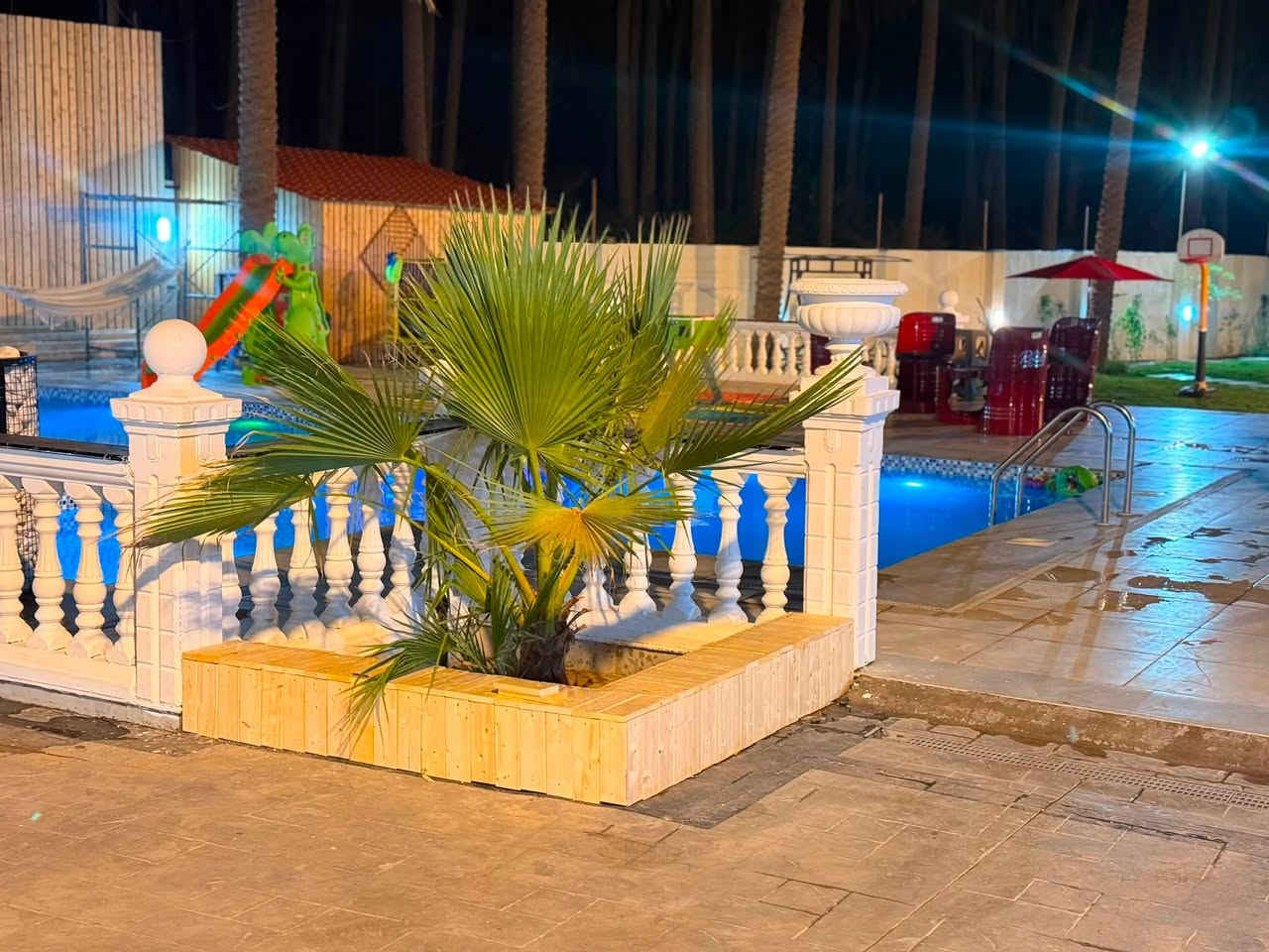 🌿 تتوفر حجوزات الأسبوع القادم في مزرعة روما 🤍
احجزوا موعدكم واستمتعوا بيوم مليان راحة ووناسة ✨

📩 للحجز والاستفسار راسلونا : ***********
