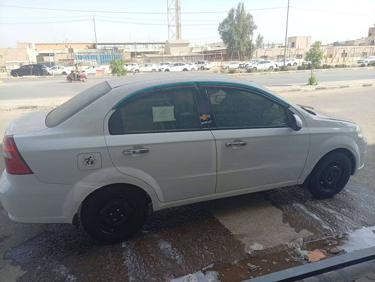 افيو • ٢٠١١ • رقم اربيل