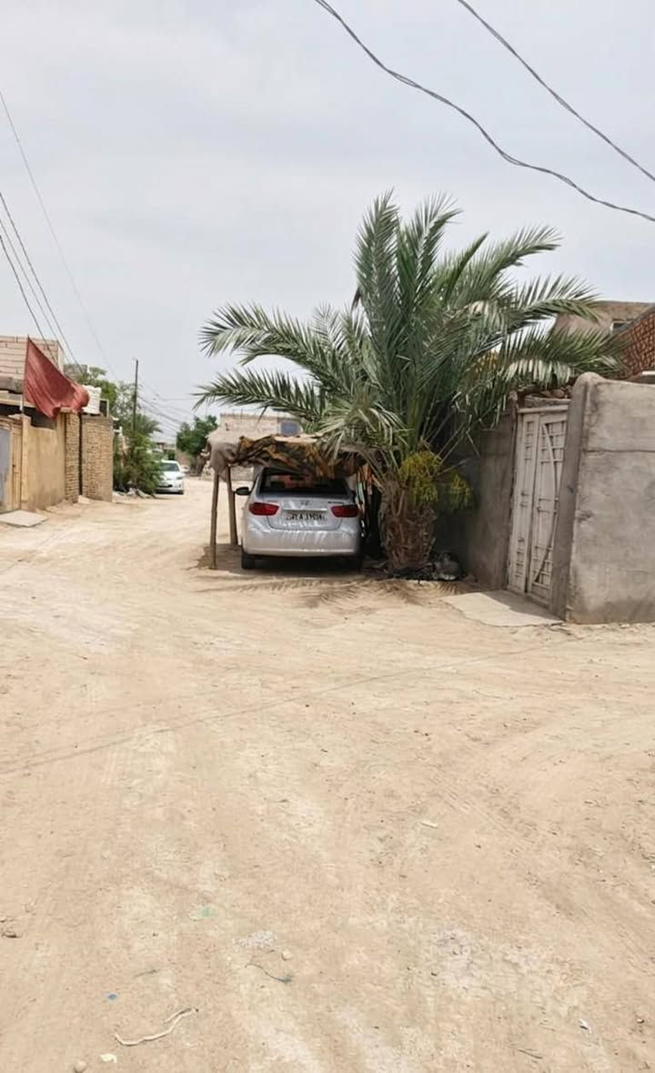 العنوان  النجف الكوفه البراكيه شارع السبيس
يتكون من غرفتين الطول٦والعرض٤ وصاله ١٢متر والعرض٤ واستقبال ٩امتار والعرض٤ ومطبخ ٤/٤ 

الاستفسار الاتصال برقم

السعر 45

قابل لتفاوض

***********

الدار للبيع مساحه ٢٠٠متر واجهة ١٧ ركن على 3شوارع عرض الشارع ٨امتار يبعد عن شارع التبليط 20متر
