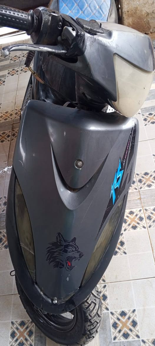 ماكس عدلة