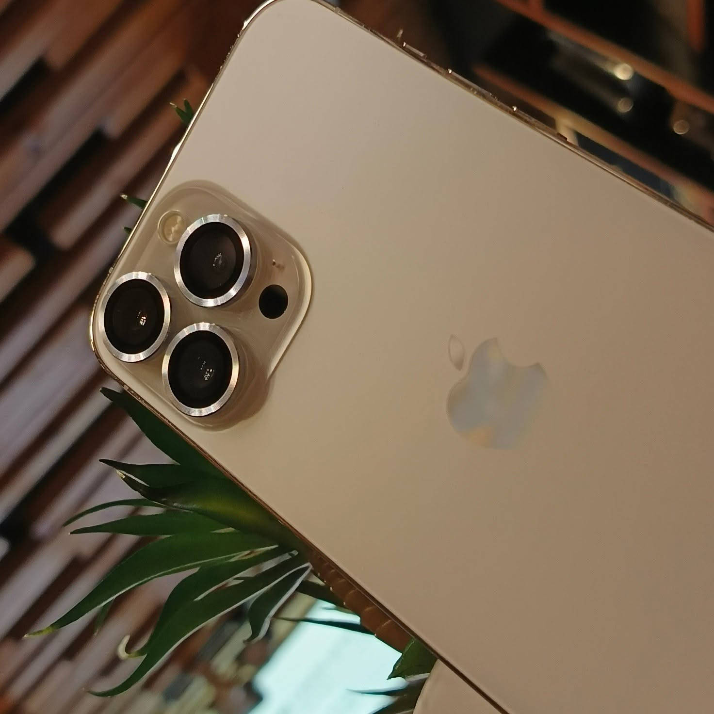 #متاح هاتف مستخدم 👇

# iphone 13 pro max

الذاكرة  256 GB
البطارية 95 % 
الهاتف نظافة فوووول  ❤
#السعر 690 الف فقط 

#العنوان _الانبار _قضاء هيت _ شارع حامي حميد _مجاور مجمع الملكة أو مقابل مكتبة الأقلام _ مركز الباشا 💥
#لتواصل معنا : 
واتساب / ***********
الانستا / albasha-mople
