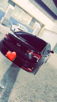 النترا • ٢٠١٩ • اربيل