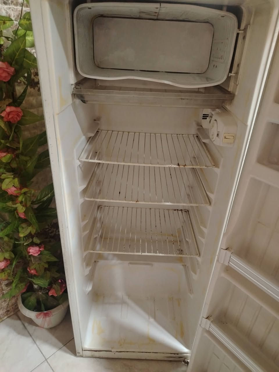 ثلاجه للبيع شغاله فول الفريزه  مالها جمد فول داخلها نضيف ويشتغل غاز بيها  
سبب البيع مجال ماكو بل بيت 
السعر 75 وبيها مجال بيع مستعجل العنوان قوسيات طريق دهوك القديم 
للتواصل 
***********
***********
